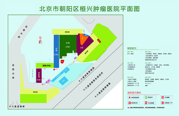 操B鸡巴亚洲北京市朝阳区桓兴肿瘤医院平面图